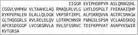 product-image-AAA21105_SEQUENCE.jpg