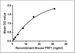 product-image-AAA21137_ACTIVITY2.png