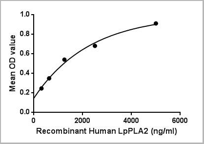 product-image-AAA21141_ACTIVITY2.png