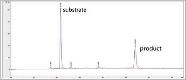 product-image-AAA21144_ACTIVITY2.jpg