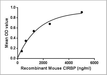 product-image-AAA21145_ACTIVITY2.jpg