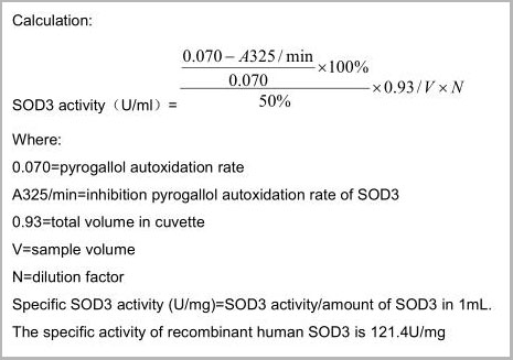 product-image-AAA21162_ACTIVITY2.jpg