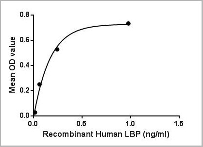 product-image-AAA21164_ACTIVITY3.jpg