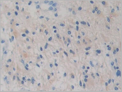 product-image-AAA21211_IHC4.jpg