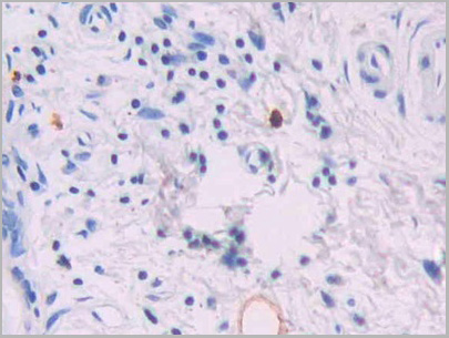 product-image-AAA21212_IHC3.jpg