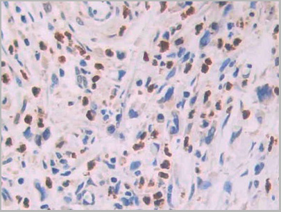 product-image-AAA21212_IHC5.jpg