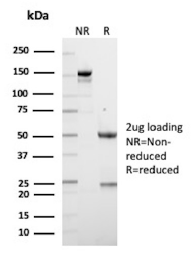 product-image-AAA214568_SDS.png