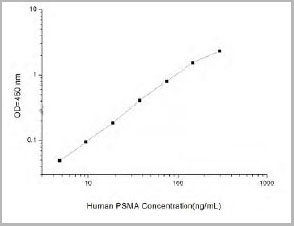product-image-AAA21923_SC.jpg