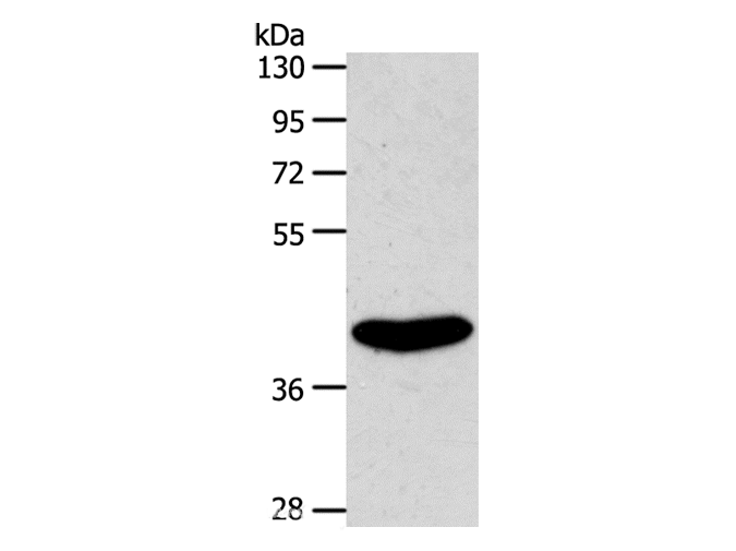 product-image-AAA22014_WB.png