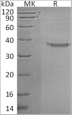 product-image-AAA22117_WB.jpg