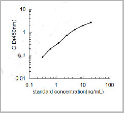 product-image-AAA23242_SC.jpg