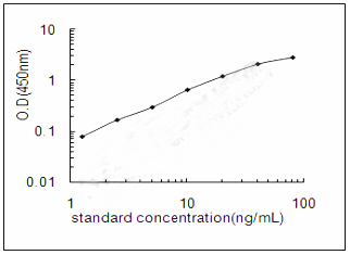 product-image-AAA23256_SC.png