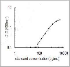 product-image-AAA23354_SC.jpg