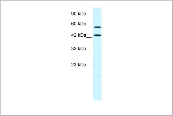 product-image-AAA23417_WB7.jpg