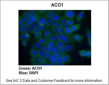 product-image-AAA23476_IHC2.jpg