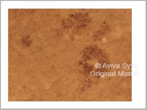 product-image-AAA23552_IHC3.jpg