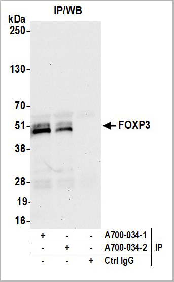 product-image-AAA23804_IP5.jpg