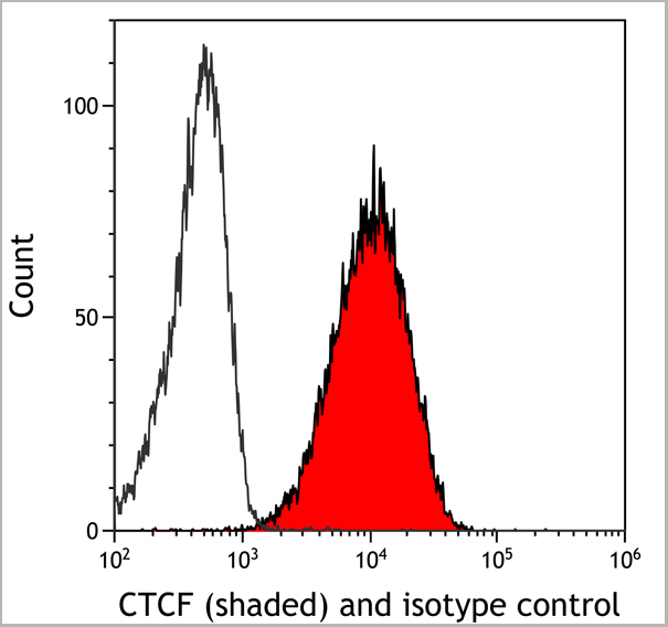 product-image-AAA23809_FCM2.jpg