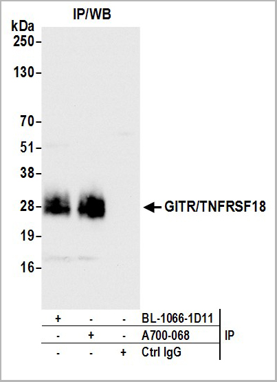 product-image-AAA23817_IP5.jpg