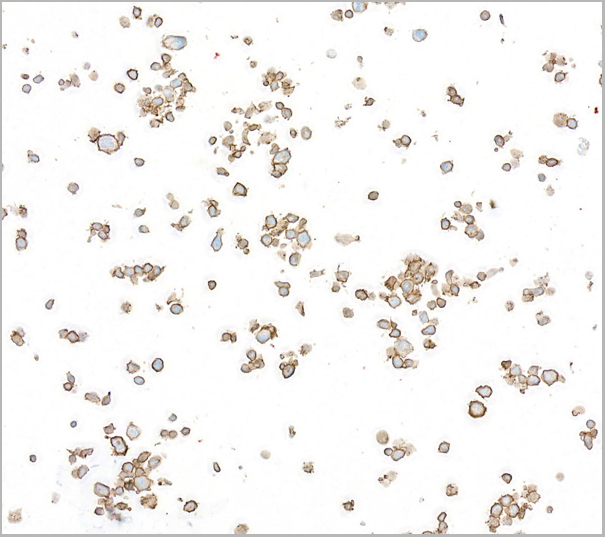 product-image-AAA23871_ICC3.jpg