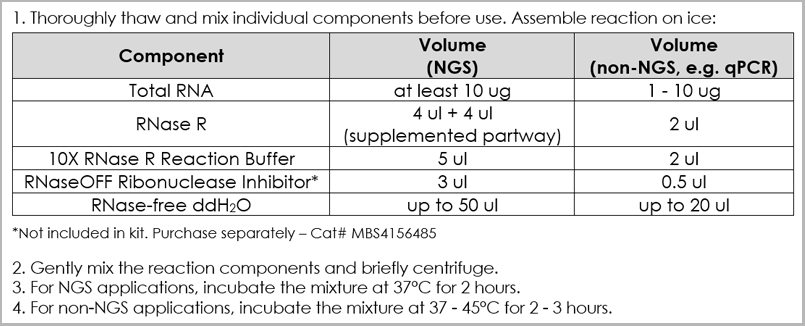 product-image-AAA23884_APP2.png