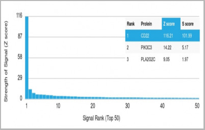 product-image-AAA23895_ELISA7.jpg