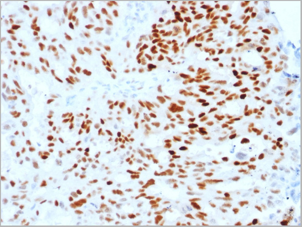 product-image-AAA23914_IHC.jpg