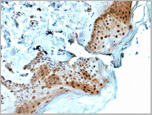 product-image-AAA23930_IHC.jpg
