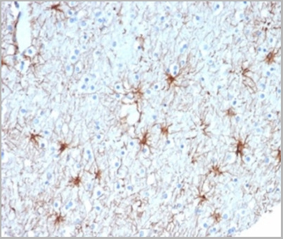 product-image-AAA23955_IHC6.jpg