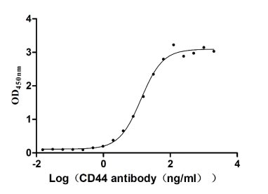 product-image-AAA243726_BIOACTIVITY13.jpg