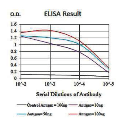 product-image-AAA268483_ELISA11.jpg