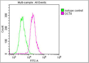 product-image-AAA27015_FCM10.jpg