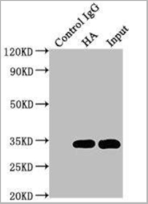 product-image-AAA27030_IP8.jpg