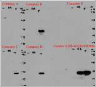 product-image-AAA27030_IP9.jpg