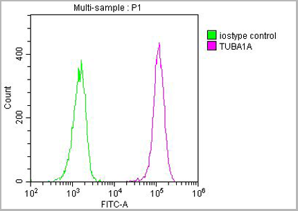 product-image-AAA27031_FCM14.png