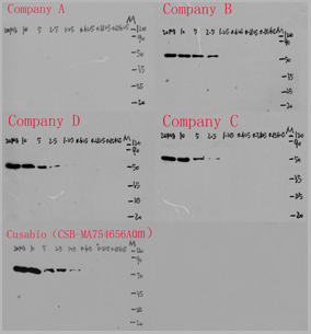 product-image-AAA27031_WB7.png