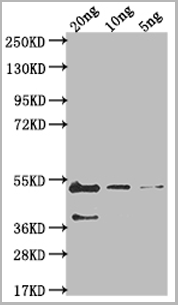 product-image-AAA27058_WB.png