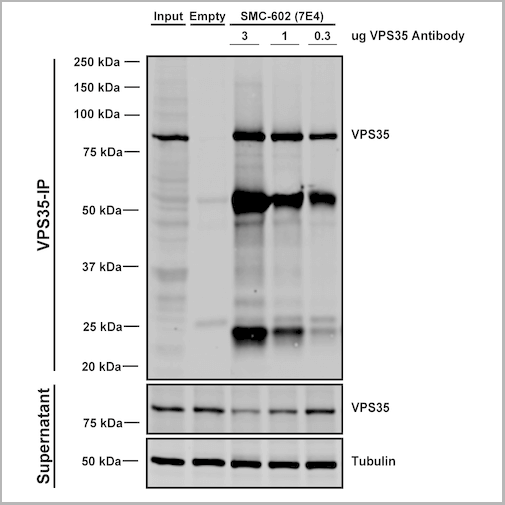 product-image-AAA27671_IP6.png