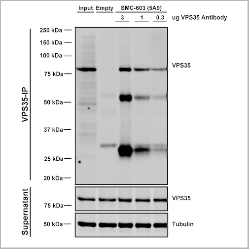 product-image-AAA27676_IP7.png