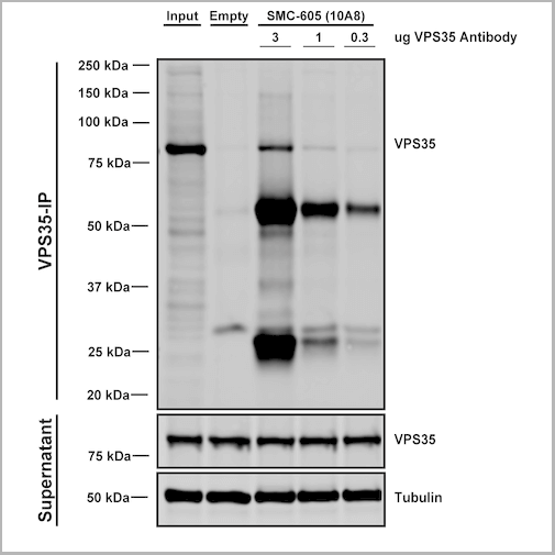 product-image-AAA27693_IP7.png