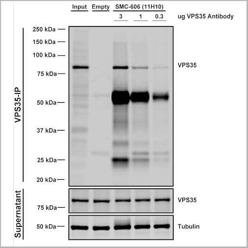 product-image-AAA27706_IP5.png