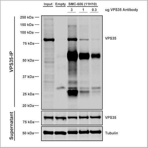 product-image-AAA27708_IP6.png