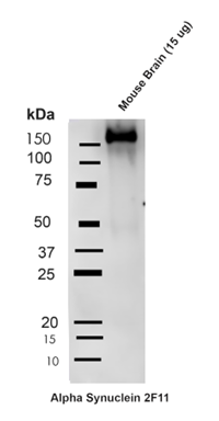 product-image-AAA27709_WB2.png