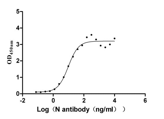 product-image-AAA278899_BIOACTIVITY11.jpg