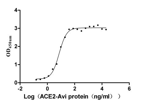 product-image-AAA278918_BIOACTIVITY13.jpg