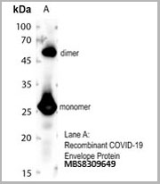 product-image-AAA27902_WB.jpg