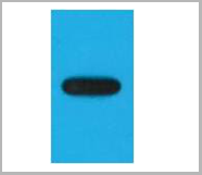 product-image-AAA27910_APP.png