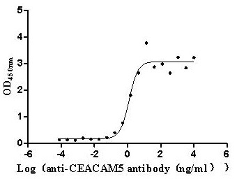 product-image-AAA279202_BIOACTIVITY13.jpg
