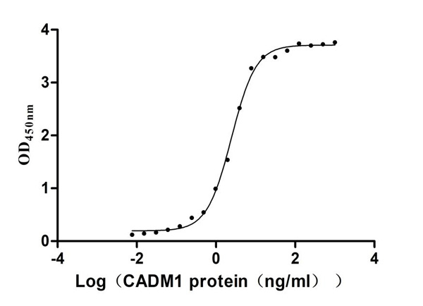 product-image-AAA279205_BIOACTIVITY13.jpg
