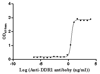 product-image-AAA279207_BIOACTIVITY13.jpg